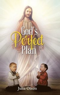 bokomslag God's Perfect Plan