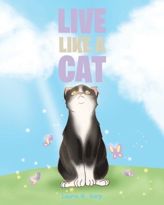 Live like a Cat 1