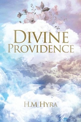 bokomslag Divine Providence