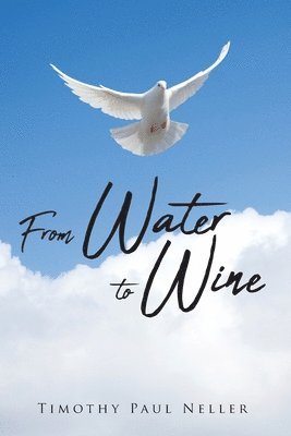 bokomslag From Water to Wine