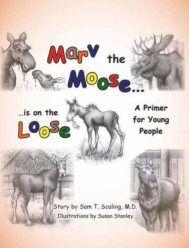 bokomslag Marv the Moose is on the Loose