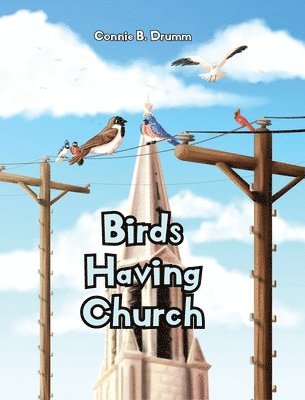 Connie B Drumm, Connie B. Drumm - Birds Having Church, Inbunden
