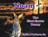 bokomslag Noam-The First Easter Bunny