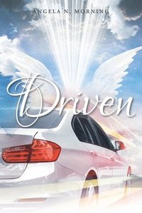 bokomslag Driven