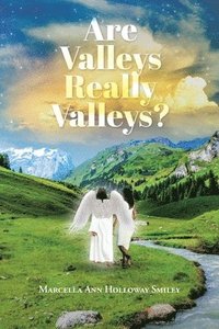 bokomslag Are Valleys Really Valleys?