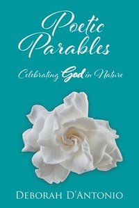 bokomslag Poetic Parables