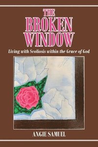 bokomslag Broken Window