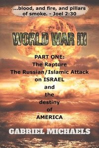 bokomslag World War III