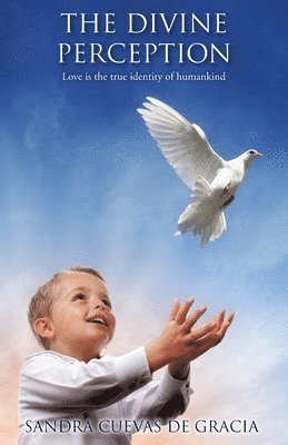bokomslag Divine Perception