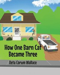 bokomslag How One Barn Cat Became Three