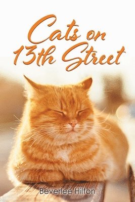 Beverlee Hilton - Cats on 13th Street, Häftad