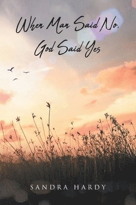 Sandra Hardy - When Man Said No, God Said Yes, Häftad