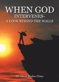 bokomslag When God Intervenes