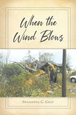 bokomslag When the Wind Blows