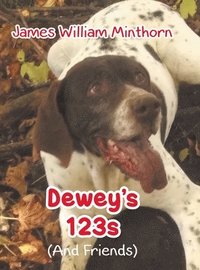bokomslag Dewey's 123s