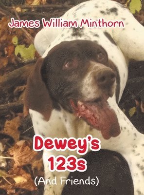 Dewey's 123s 1