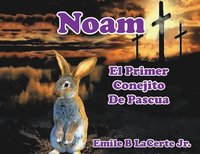bokomslag Noam El Primer Conejito De Pascua