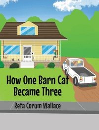 bokomslag How One Barn Cat Became Three