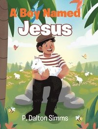 bokomslag A Boy Named Jesus