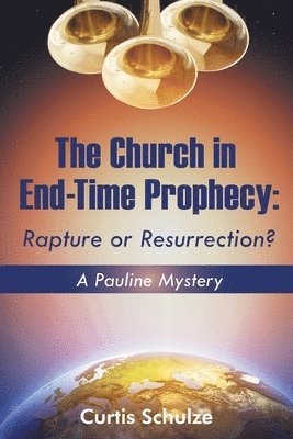 bokomslag The Church in End-Time Prophecy