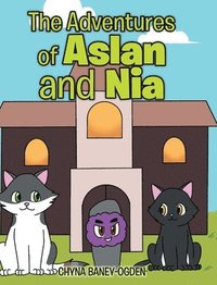bokomslag The Adventures of Aslan and Nia