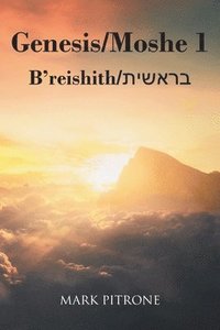 bokomslag Genesis-Moshe 1