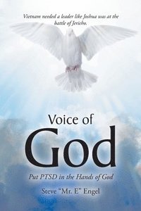 bokomslag Voice of God