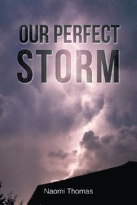 bokomslag Our Perfect Storm