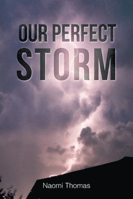 bokomslag Our Perfect Storm