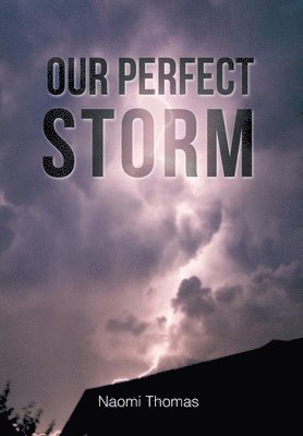 bokomslag Our Perfect Storm