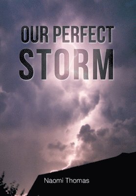 Our Perfect Storm 1