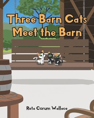 Three Barn Cats Meet the Barn 1