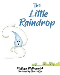 bokomslag The Little Raindrop