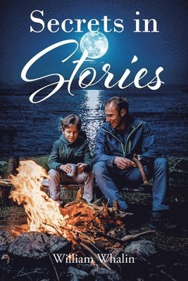 bokomslag Secrets in Stories