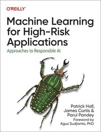 bokomslag Machine Learning for High-Risk Applications
