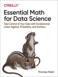 bokomslag Essential Math for Data Science