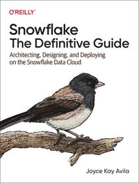 bokomslag Snowflake - The Definitive Guide