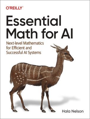 bokomslag Essential Math for AI