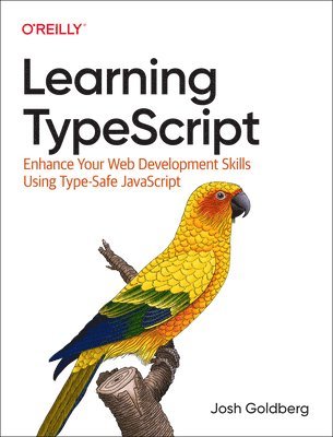 bokomslag Learning Typescript