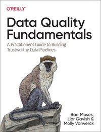 bokomslag Data Quality Fundamentals