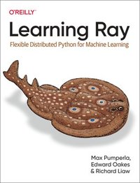 bokomslag Learning Ray