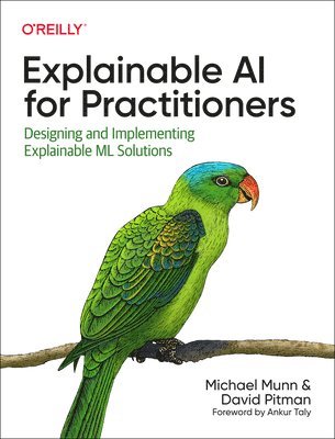 Michael Munn, David Pitman - Explainable AI for Practitioners, Häftad