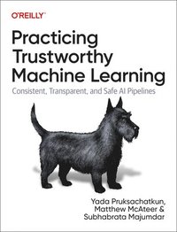 bokomslag Practicing Trustworthy Machine Learning