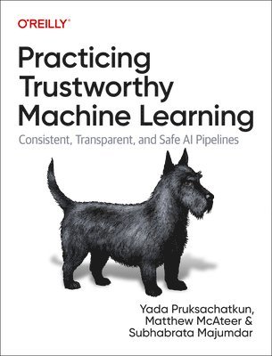 Yada Pruksachatkun, Matthew McAteer, Subhabrata Majumdar, Matthew Mcateer, Subho Majumdar - Practicing Trustworthy Machine Learning, Häftad