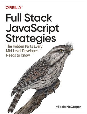 bokomslag Full-Stack JavaScript Strategies