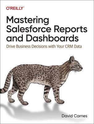 Mastering Salesforce Reports and Dashboards 1