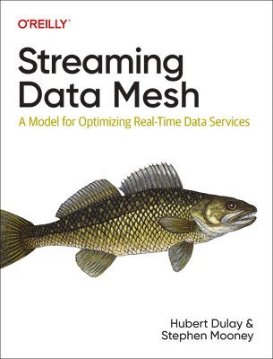 bokomslag Streaming Data Mesh