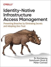 bokomslag Identity-Native Infrastructure Access Management