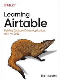 bokomslag Learning Airtable