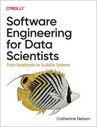 bokomslag Software Engineering for Data Scientists